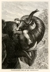 パステルトゥーは恐怖を感じさせなかった、ジュールヴェルヌ（1828-1905）、1873年