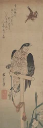 とまり木、スズメ、水仙のハヤブサ