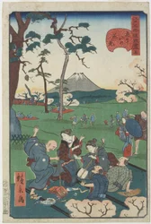 No.5 飛鳥の丘でお花見