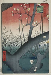 亀戸神社の梅園