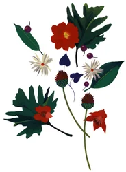 クリスマスを想像させる花です。