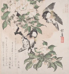 春雨集 春雨集 vol. 3: シジュウカラとカニのリンゴの花、約。 ...、約。 1820年。