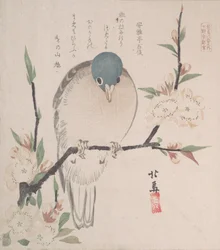 春雨集 春雨集 vol. 3: 山鳩と桃の花、約。 1820年頃。 1820年。