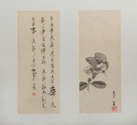 風景、人物、花 1618-22年（12葉のアルバム、紙にインクと彩色）