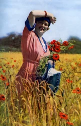 イングリッシュローズ、c1922