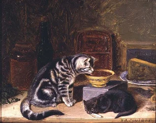 2匹の猫
