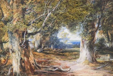 森の中（水彩）