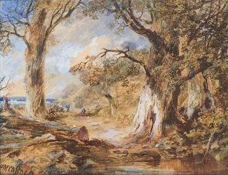 エッジ・オブ・ザ・ウッド