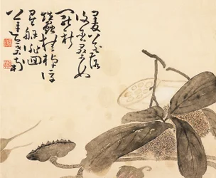 彩色されたアルバム リーフ - 蓮の植物、18 世紀