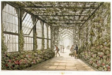 ジョセフ・コンスタンティン・スタドラー（1780-1812）による「ブライトンのパビリオンのためのデザイン」からの彫刻「温室の廊下」。1808年、カラーリトグラフ版
