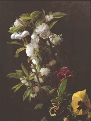 花、1876