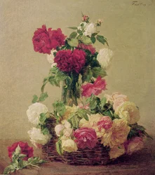 バラ、1891