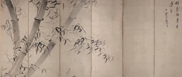 月光竹