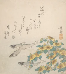 黄色い花と泳ぐ魚、カリフォルニア州。 1830年。