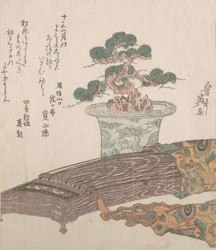 松の木と箏の鉢植え、19世紀。