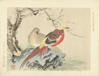 岩の上のキジの群れ 桂年花鳥画（シリーズタイトル） 経年課長画譜
