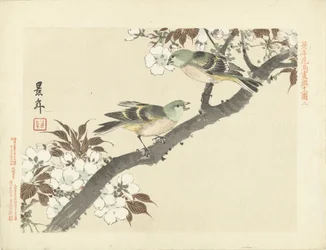 花の枝に 2 つの緑の鳥 桂年花鳥画（シリーズ名） 経年課長画譜