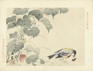 毛虫を持つ鳥 桂年花鳥画（シリーズ名） 経年課長画譜