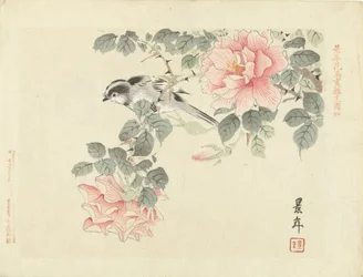 桃色のバラの間にいる白黒の小鳥 - 景年の花鳥画譜（シリーズ題名）- Keinen kacho gafu（作品上のシリーズ題名）
