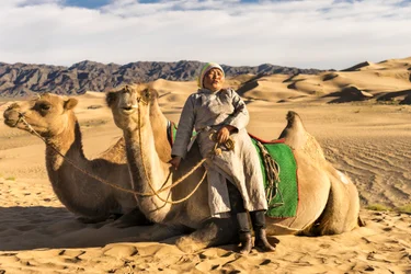 モンゴル、南ゴビ砂漠でラクダと休憩する女性、2015年（写真）。