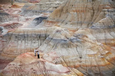 中国西部、新疆ウイグル自治区ゴビ砂漠のウー・カイ・ワン付近の彩岩、2007年（写真）。