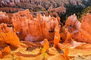 ブライスキャニオン国立公園のフッドゥーの日の出、2012年（写真）