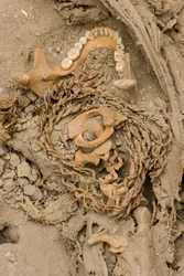女性犠牲者の遺体、2005年（写真）