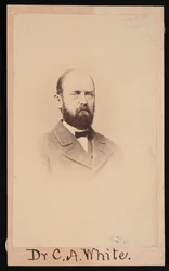 チャールズ・アビヤター・ホワイトの肖像 1826-1910, 1868.
