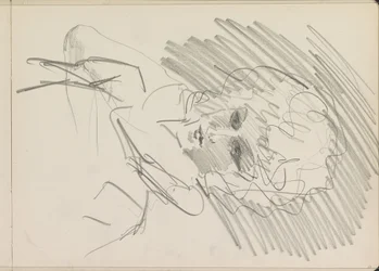 カールした女性のバスト