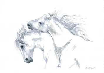 動く馬たちの自由