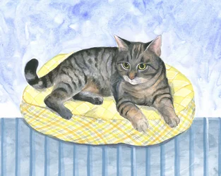 枕猫