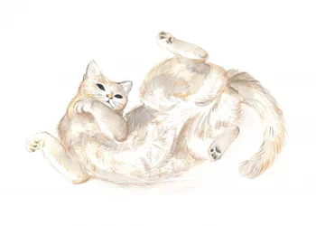 遊び好きな猫