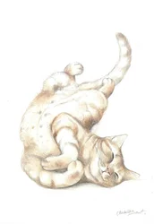 くつろぐ猫