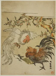 木の下で闘う雄鶏たち