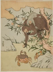 カニと遊ぶ猿