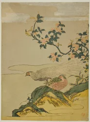 桃の花の枝の下のキジ