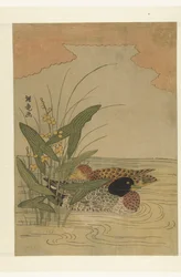 黄色い花の矢じりの近くを泳ぐ 2 羽のアヒル