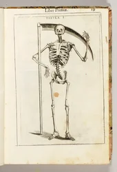 グイド・グイディの「De Anatome Corporis Humani Libri VII」から、死神のスタイルで鎌を持った骸骨。