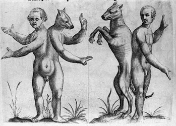 異なるタイプの人間の怪物：二重の体を持つ2つの生き物、半分人間と犬（シャム）。イタリアの科学者Fortunio Liceti(1577-1656)の「De monstrorum natura, causis et differentiis」からの版画。1646