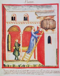 Fol.85v酢、Tacuinum Santiatis Codex Vindobonensisのイラスト