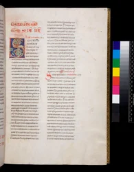 Ms.143グレゴリー大王、レジストラム・エピストララム、f.8r.白い葡萄の葉のインフィルとフィニアルを持つ装飾されたイニシャル[S].