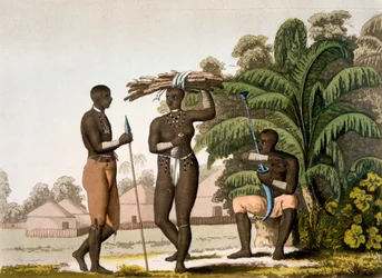 サウスイーストコースト：カフェル国家、1820年代から30年代