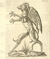 カザコバエモンスターの歴史、1642年からの悪魔のような翼と角を持つモンスターのイラスト