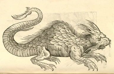 Aldrovandisモンスターの歴史、1642年からOrobonis Piscisの彫像のイラスト