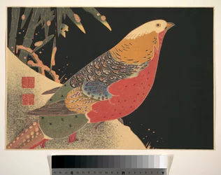 雪の中の金色の雉 1900年頃 （木版画、墨・彩色、紙）