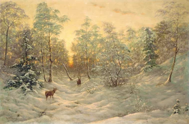 夕暮れ時に雪に覆われた風景の中の鹿
