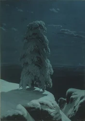 北の荒野で