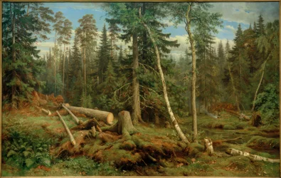 IISchischkin、Holzschlag