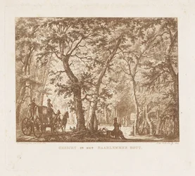 ハールレンマーハウトの馬車と歩行者 Haarlemmer Hout の眺め (オブジェクトのタイトル)