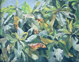 植物、1961